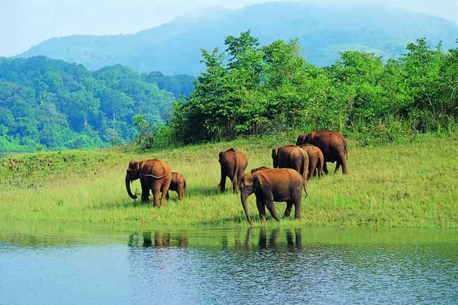 Mudumalai National Park